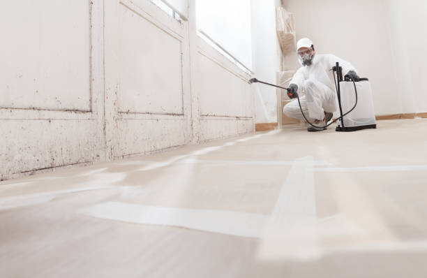 24/7 Emergency Mold Cleanup experts in Brunswick, MD